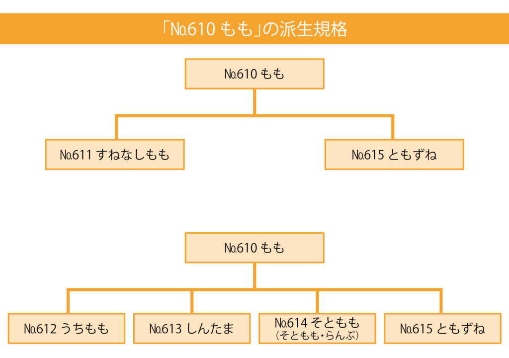 ☐牛・豚肉のコマーシャル規格 - 公益財団法人日本食肉流通センター 